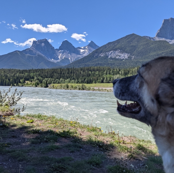 Meet your Posher, Meredith - Picture 1 of 1